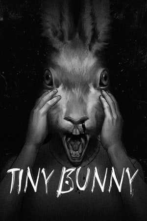 小兔子（Tiny Bunny）