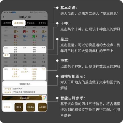 问真八字免费版排盘