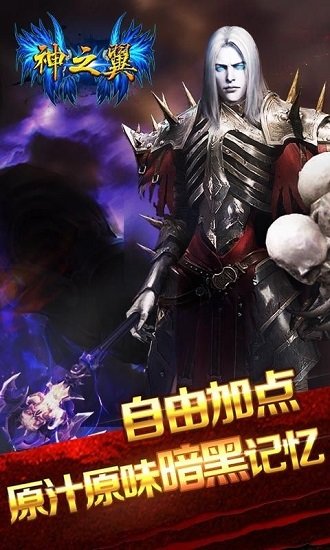 神之翼正式版