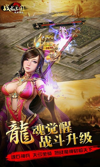 战龙三国变态版