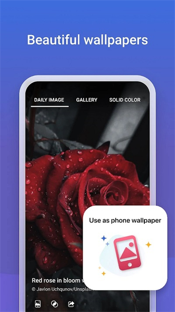 必应浏览器国际版