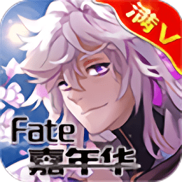 Fate嘉年华变态公益服