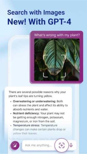 必应浏览器国际版