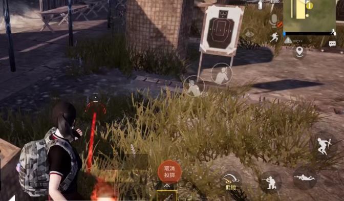 酷二狗同款美化包