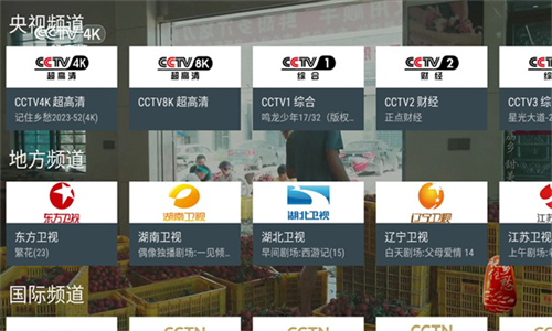 我的电视APP电视版