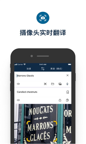 Deepl翻译器