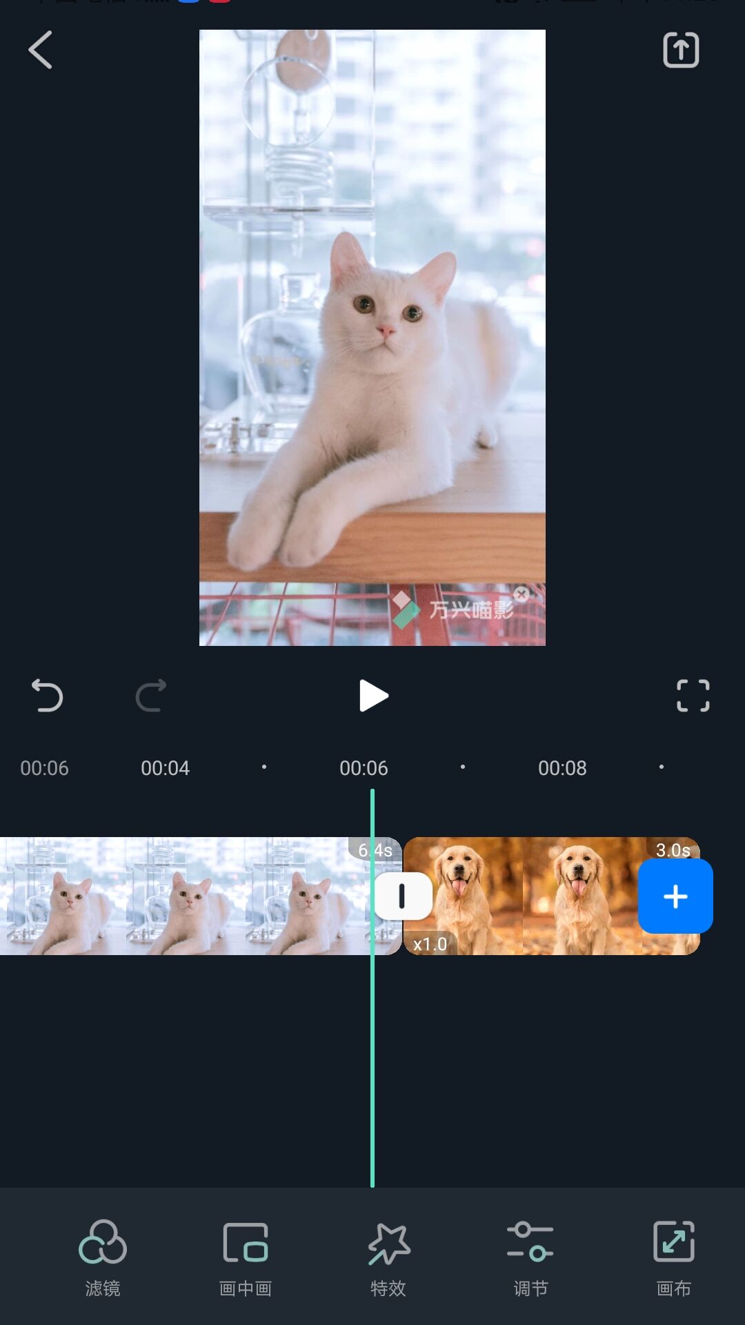 万兴喵影国际版手机版特效介绍2