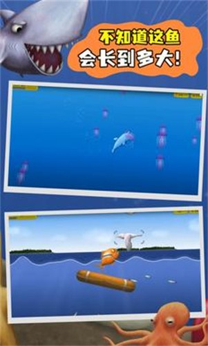 美味海洋鲨鱼版