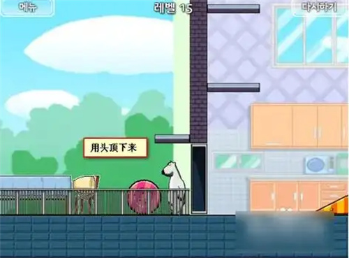 倒霉熊逃离房间