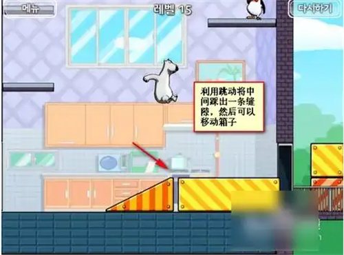 倒霉熊逃离房间