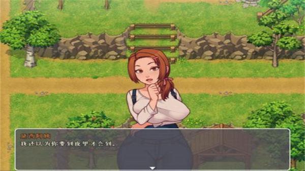 我的乡村日常生活