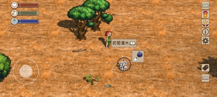 希望之村2国际服