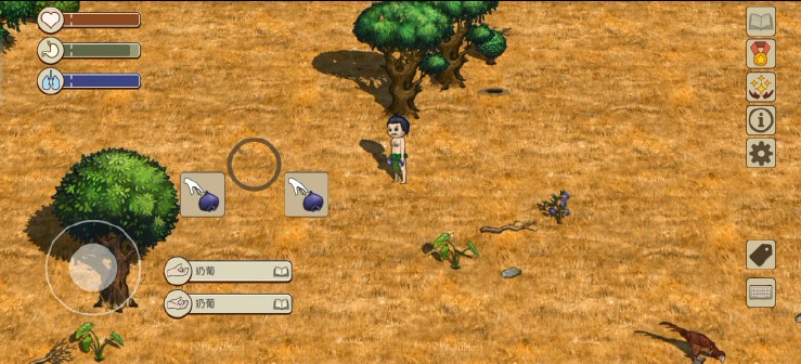 希望之村2国际服