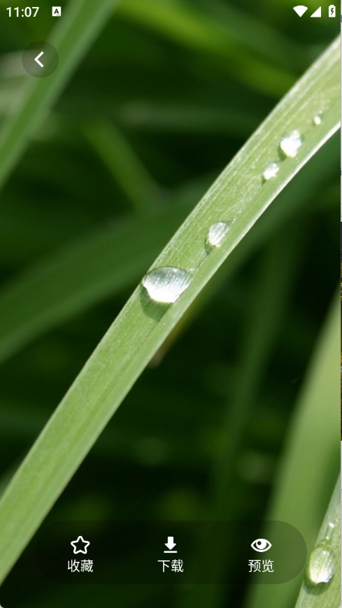 茄子漫画壁纸官方安卓版