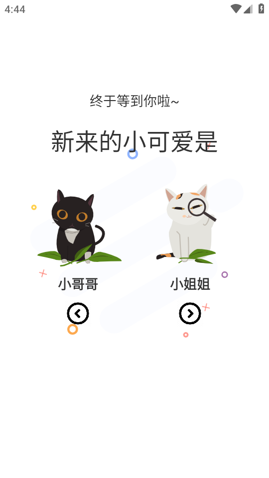 喵妃漫画