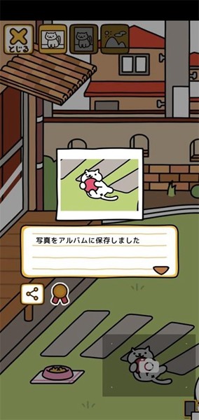 猫咪后院2汉化无限金鱼版