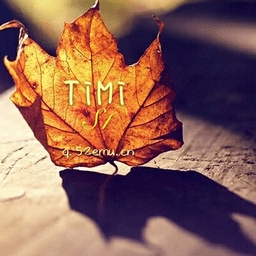 软心安装器汉化版本