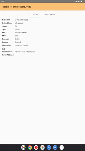 ZeroTier One汉化版