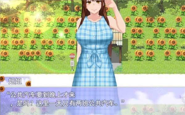 我的暑假秘密回忆繁星新春版