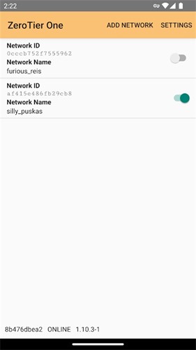 ZeroTier One汉化版