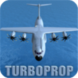 tfs飞行模拟器汉化版