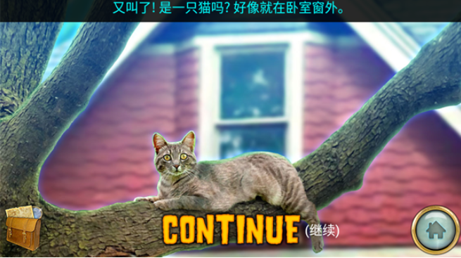 密林溪流