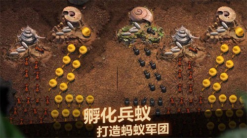 小小蚁国汉化版