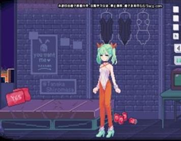 pixelbunny有声汉化版