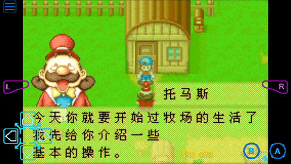 牧场物语矿石镇的伙伴们完美汉化版