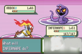 口袋妖怪釉色汉化版金手指版进化石位置2