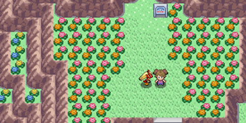 pokemmorom汉化资源包