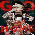 gohome汉化版