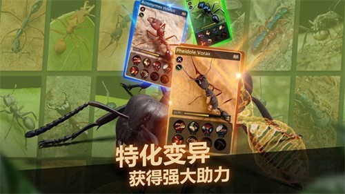小小蚁国汉化版