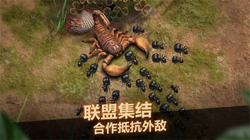 小小蚁国汉化版