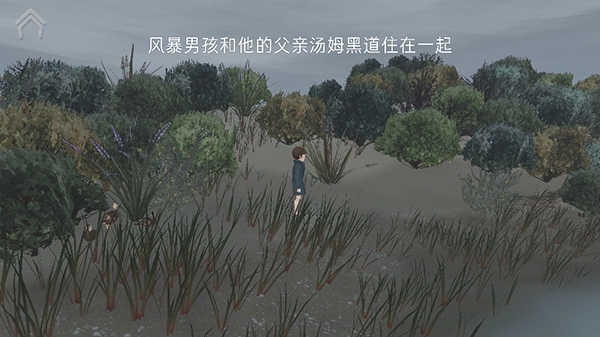 男孩与鹈鹕中文汉化安卓版手游
