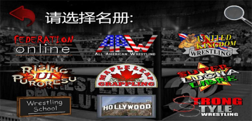 摔跤革命3d汉化版无限血量版