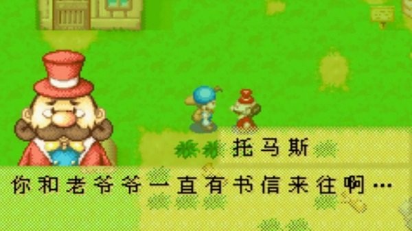 牧场物语矿石镇的伙伴们汉化版
