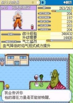 口袋妖怪龙珠汉化版