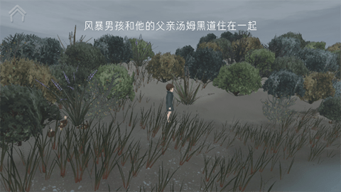 男孩与鹈鹕游戏汉化版