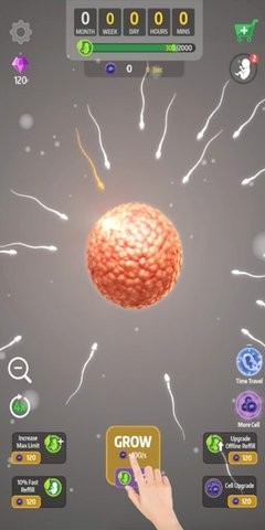 人类进化史手机汉化版