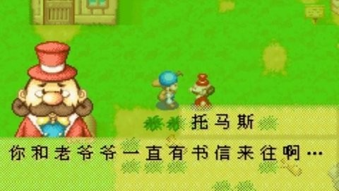 牧场物语矿石镇的小伙伴汉化版