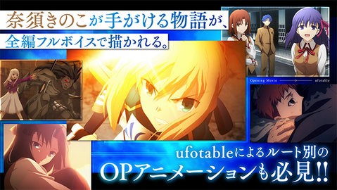 fate命运之夜汉化版
