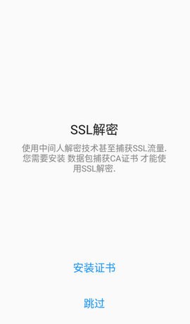 Packet Capture最新汉化版