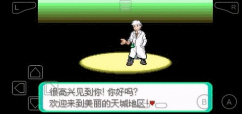 口袋妖怪黑暗之火汉化版