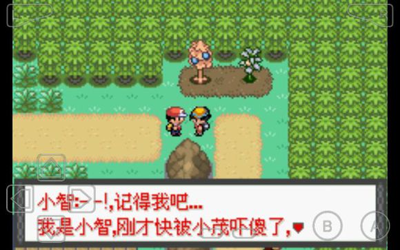 口袋妖怪罪恶的世界汉化版(攻略)下载-口袋妖怪罪恶的世界作弊版下载手机版