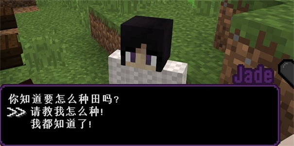 我的世界丰收物语汉化版