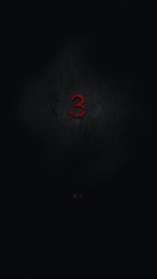 心灵照片中文版11