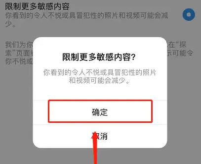 Ins国际版