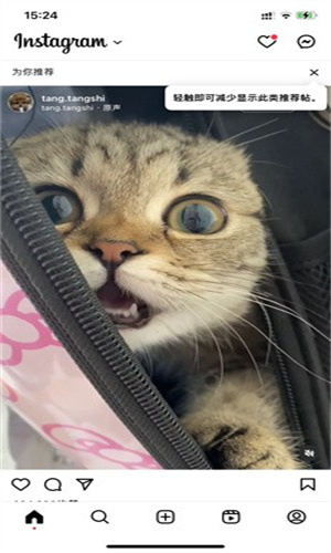 instagram小米版