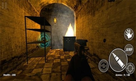 Slender Insane